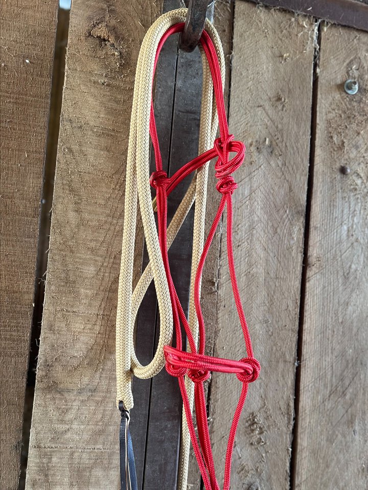 B1 Rope Halter and Lead product image (2)