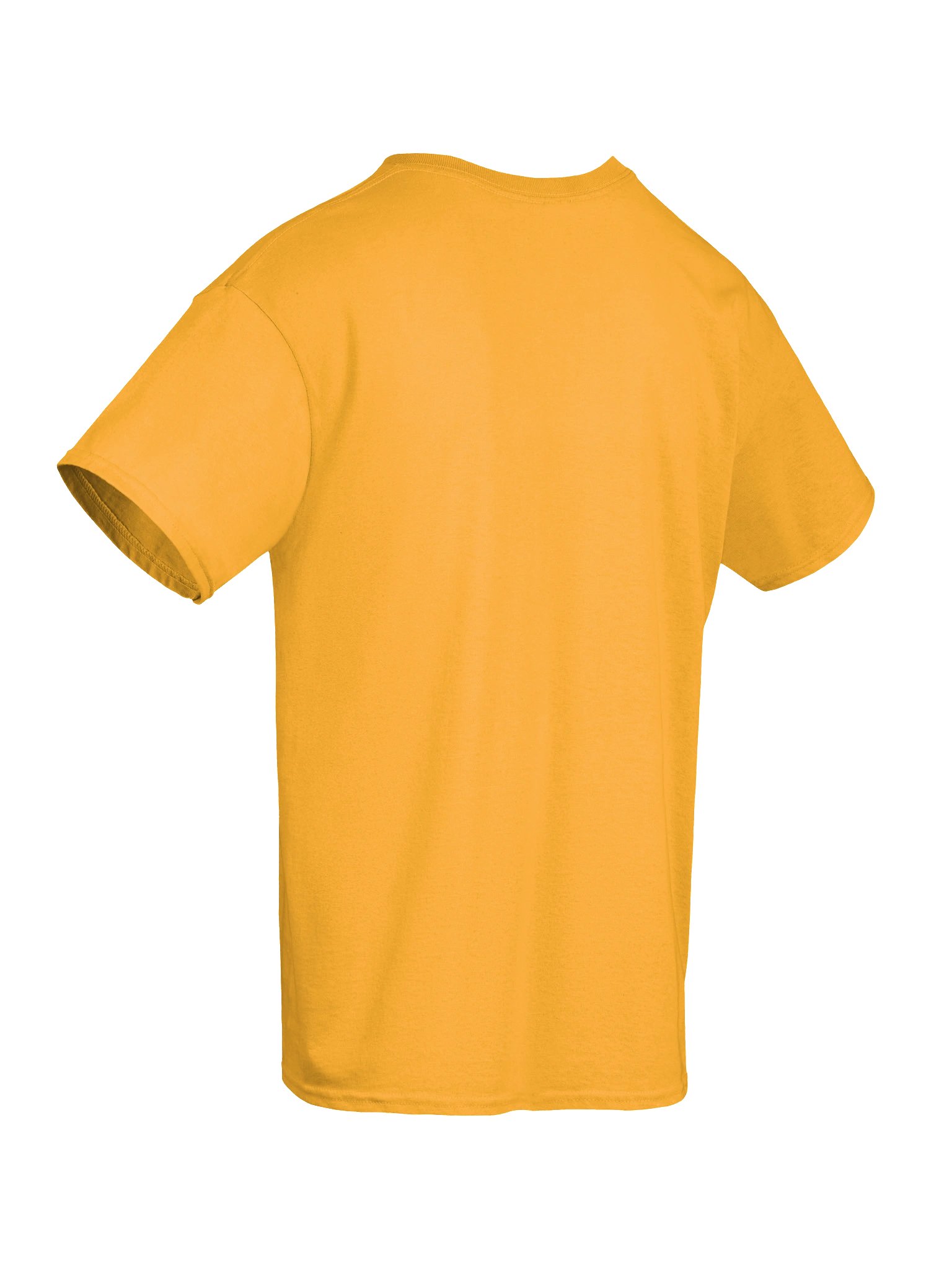 You've Been Blessed T-SHIRT (Front ONLY) product image (34)