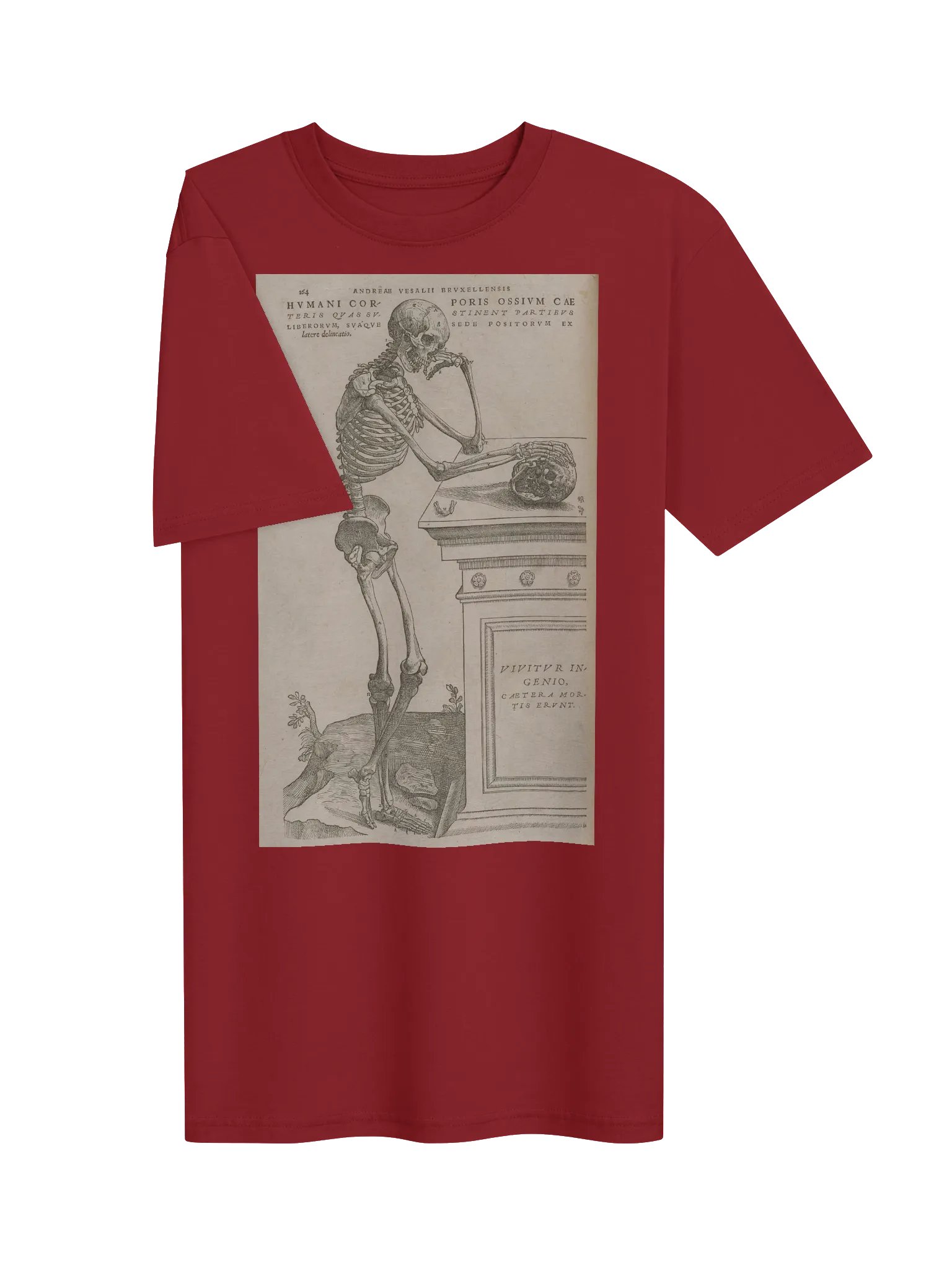 "Skeleton Pondering Mortality" by Andreas Vesalius. product image (4)