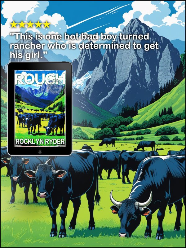 ROUGH Ebook Discreet Cover product image (2)