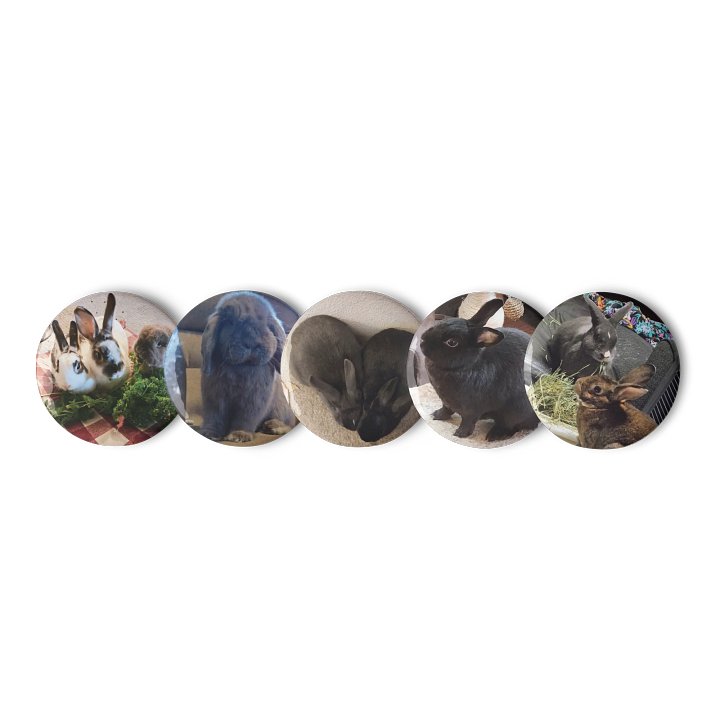 Bunny Pictures || Set of Pin Buttons product image (1)