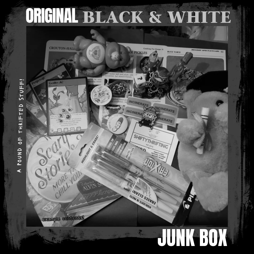 Black & White ShiftyThrifting Junk Box product image (1)