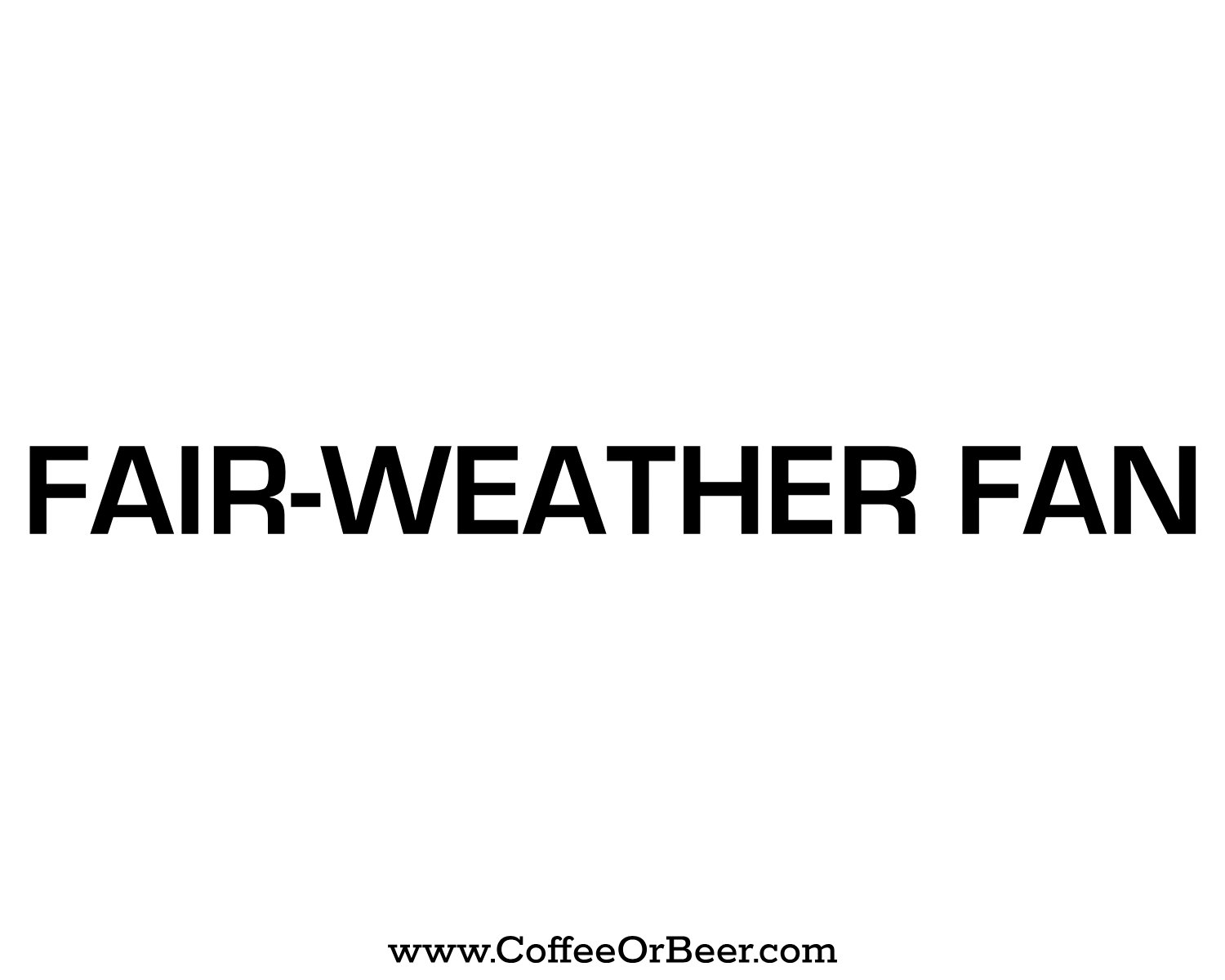 Seagles Fair-Weather Fan Pint Glass product image (3)