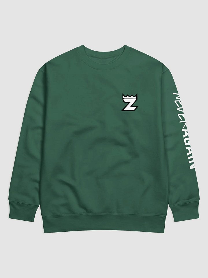Never Again Sweatshirt - Green product image (1)