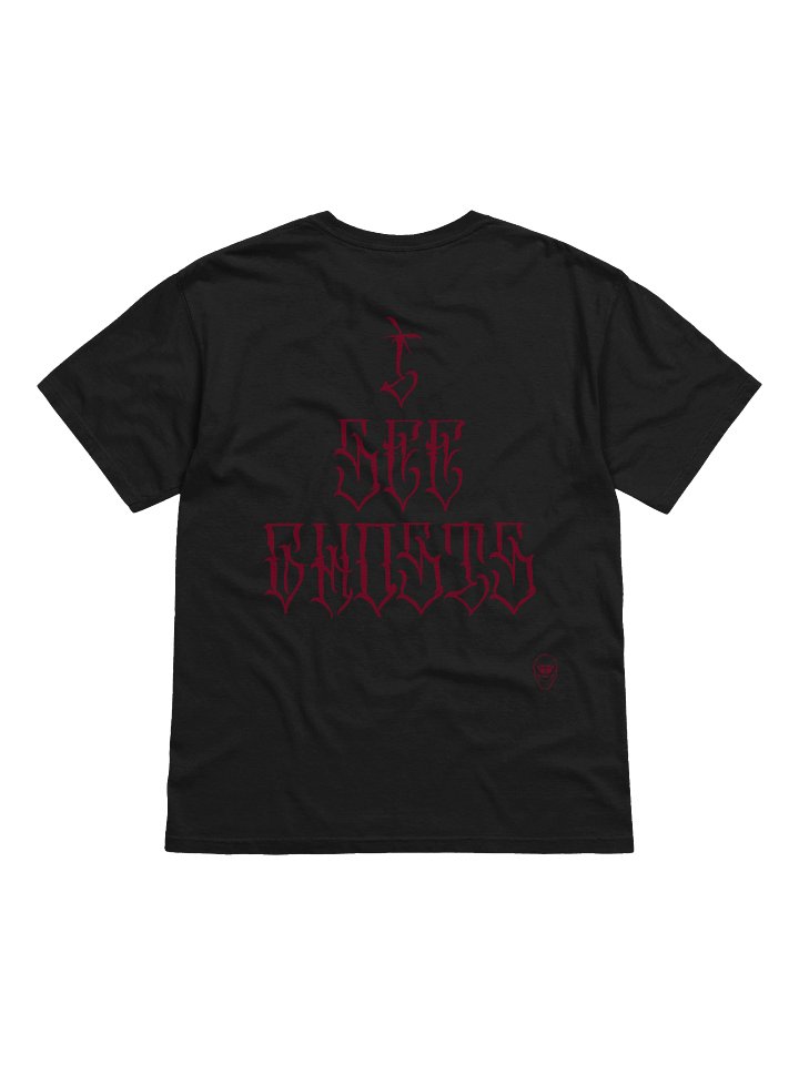 I SEE GHOSTS Burgundy Tee product image (2)
