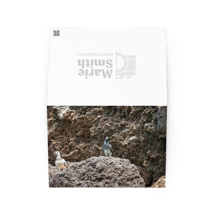 Curious Birds Greeting Card product image (2)