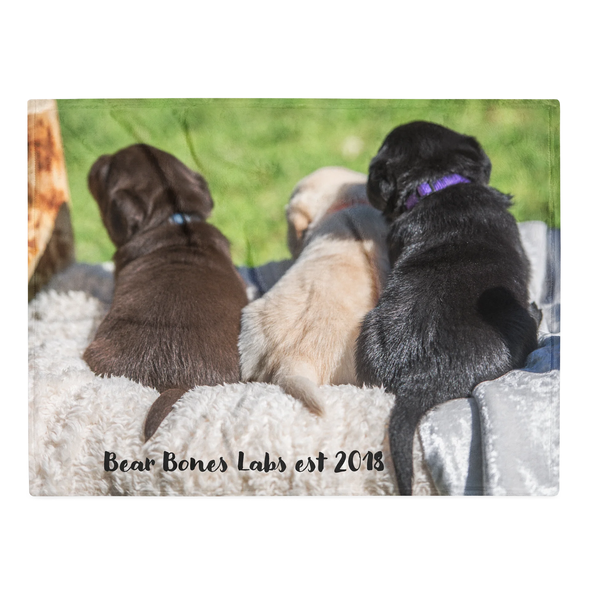 Blanket with Puppies product image (1)