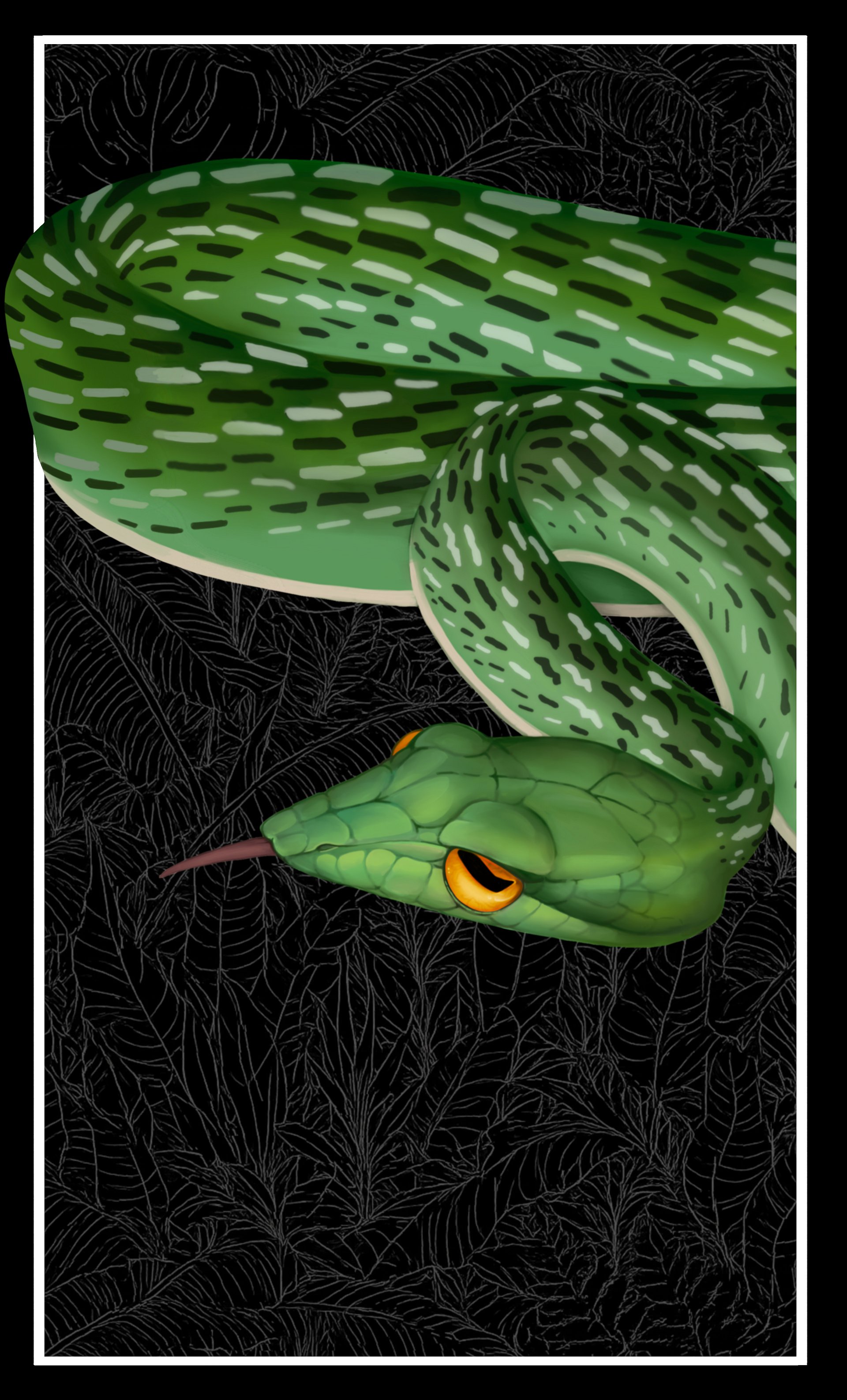 AHAETULLA VINE SNAKE T-SHIRT product image (9)