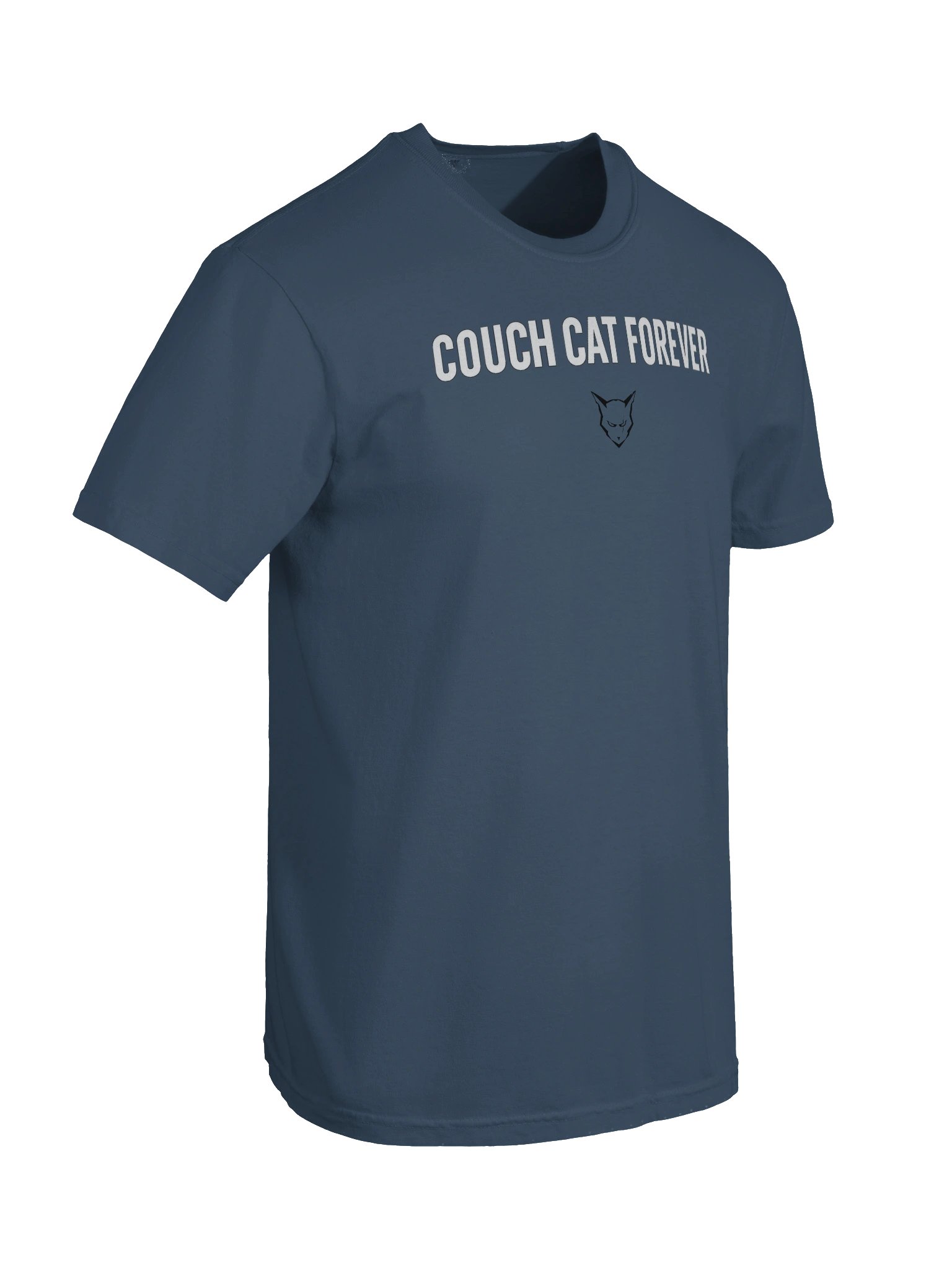 Couch Cat Forever product image (39)