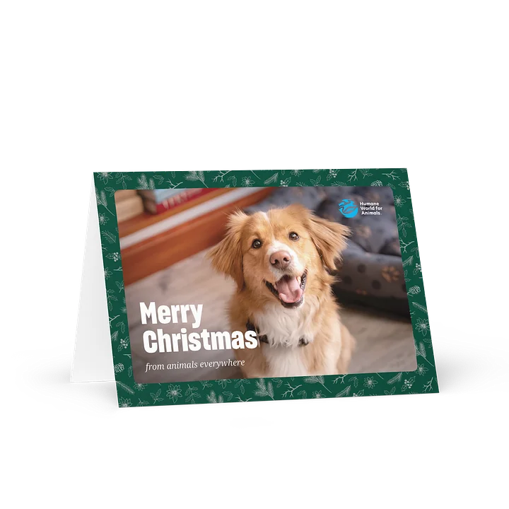 Christmas card - Dog design product image (1)