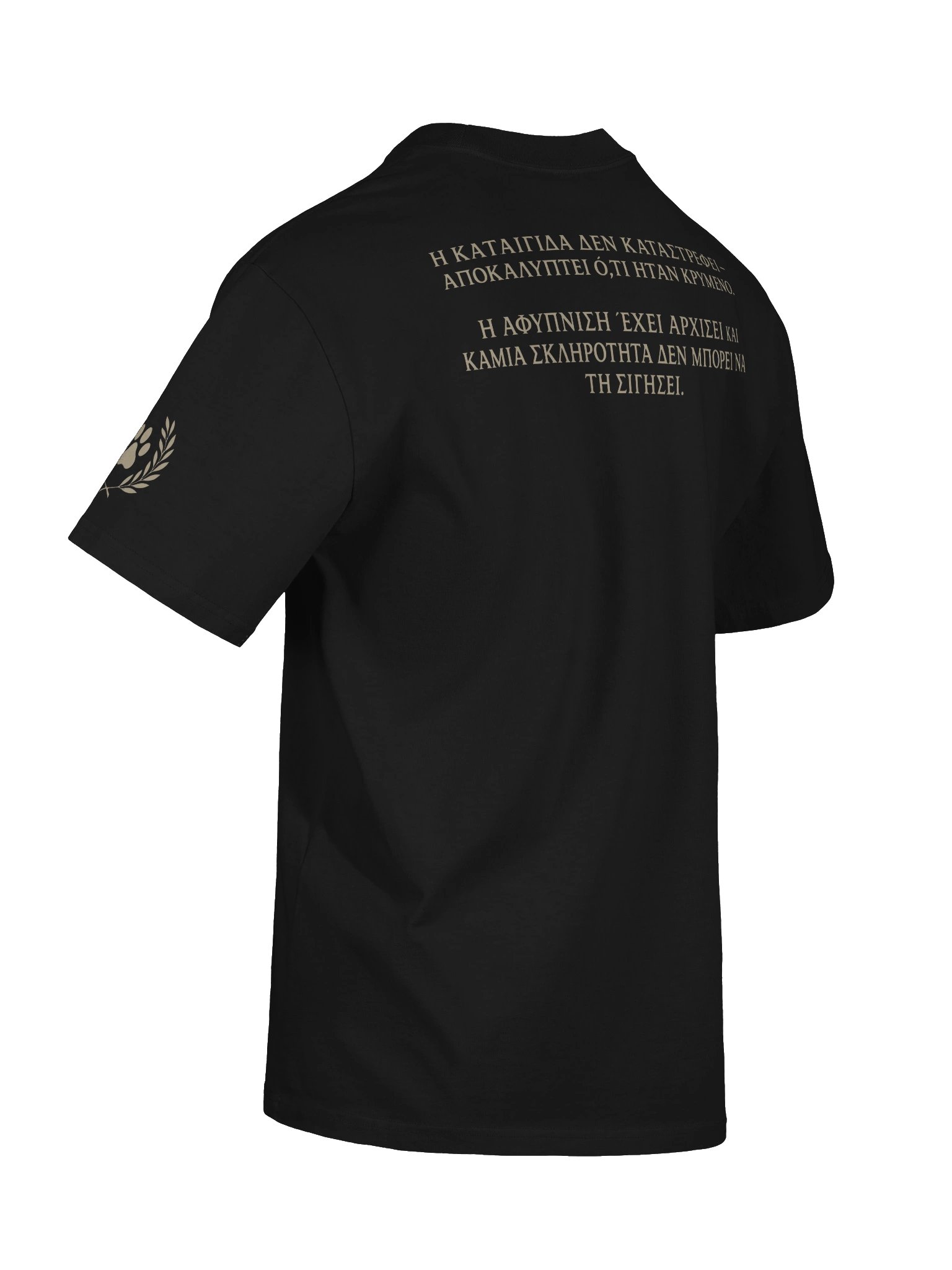 THE PROPHECY PREMIUM T-SHIRT product image (9)