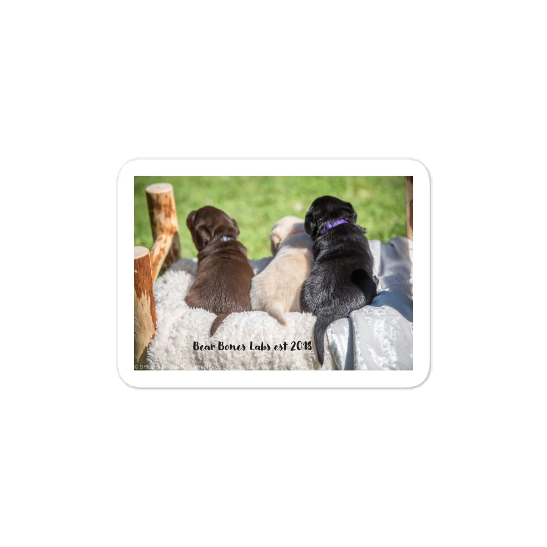 Puppy Sticker product image (1)