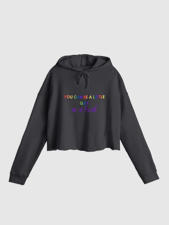 Gay As A Treat Crop Hoodie product image (4)
