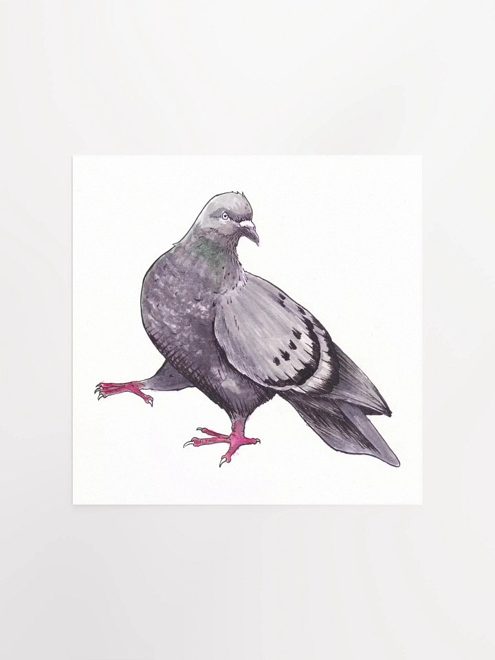 Pigeon Print product image (1)
