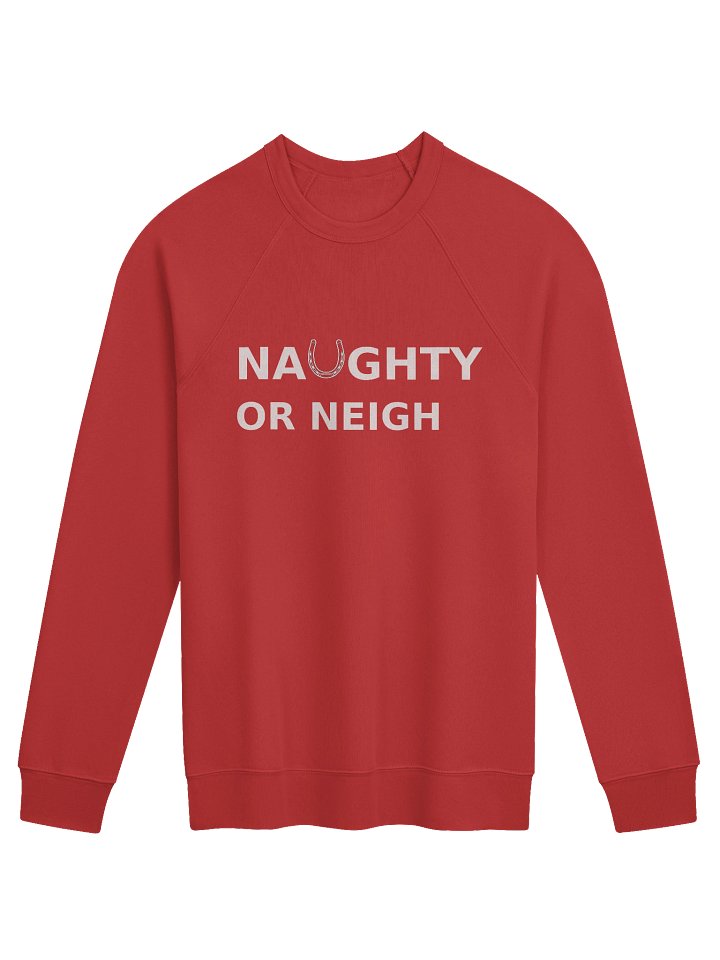 The Naughty or Neigh Sweatshirt (wholesale) product image (1)