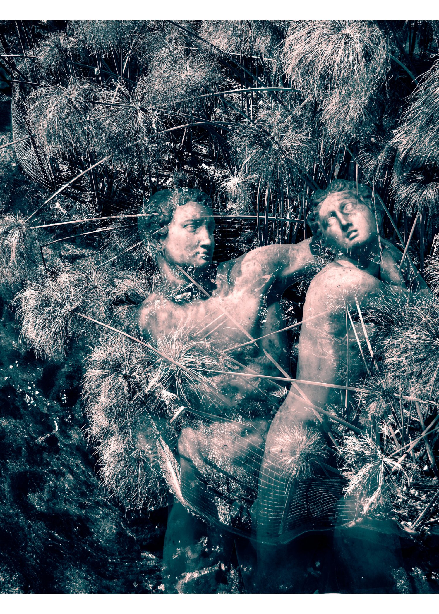 Sicilian Nymph - Print product image (1)