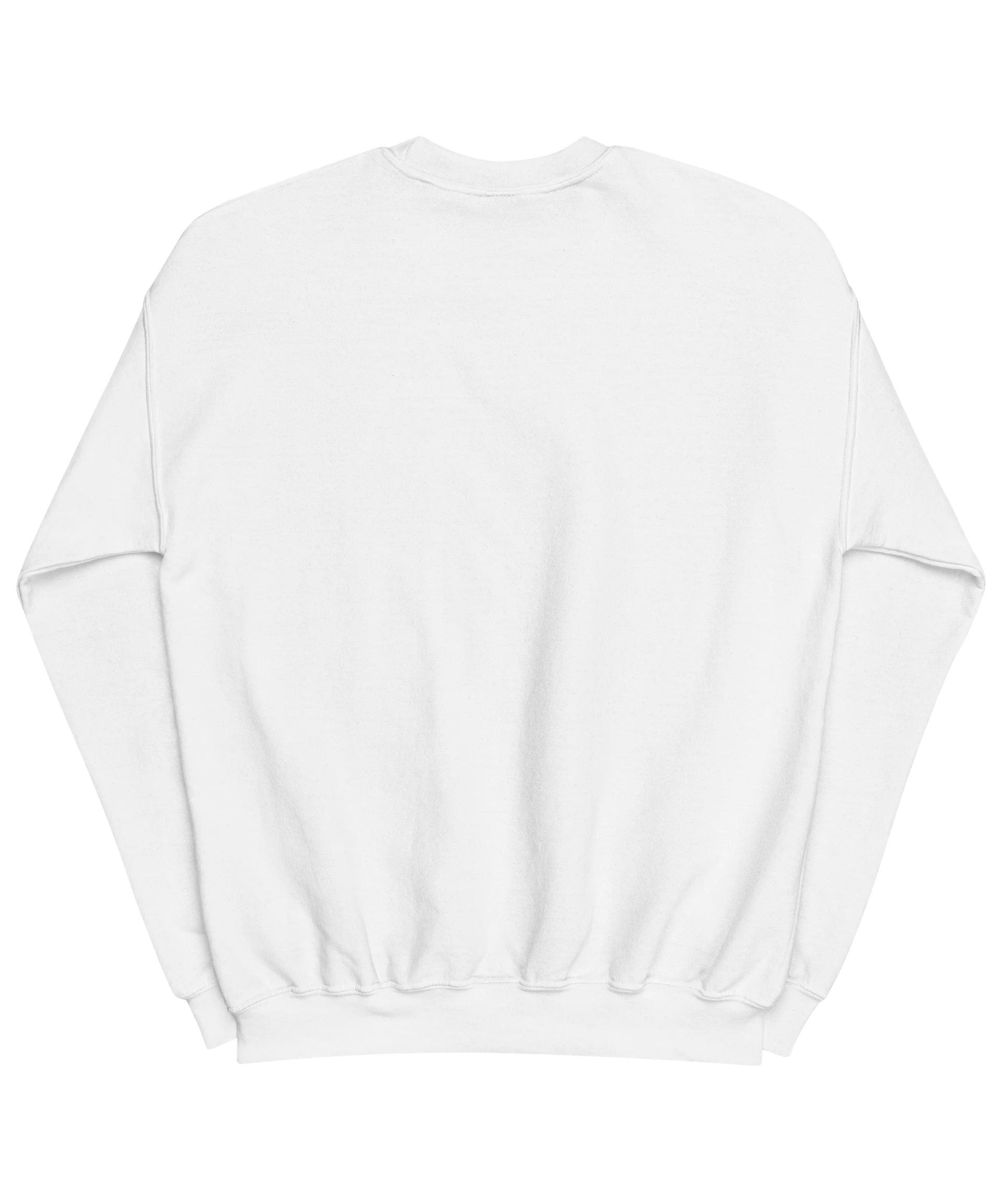 UNIVERSITY CREWNECK - CAROLINA BLUE product image (2)