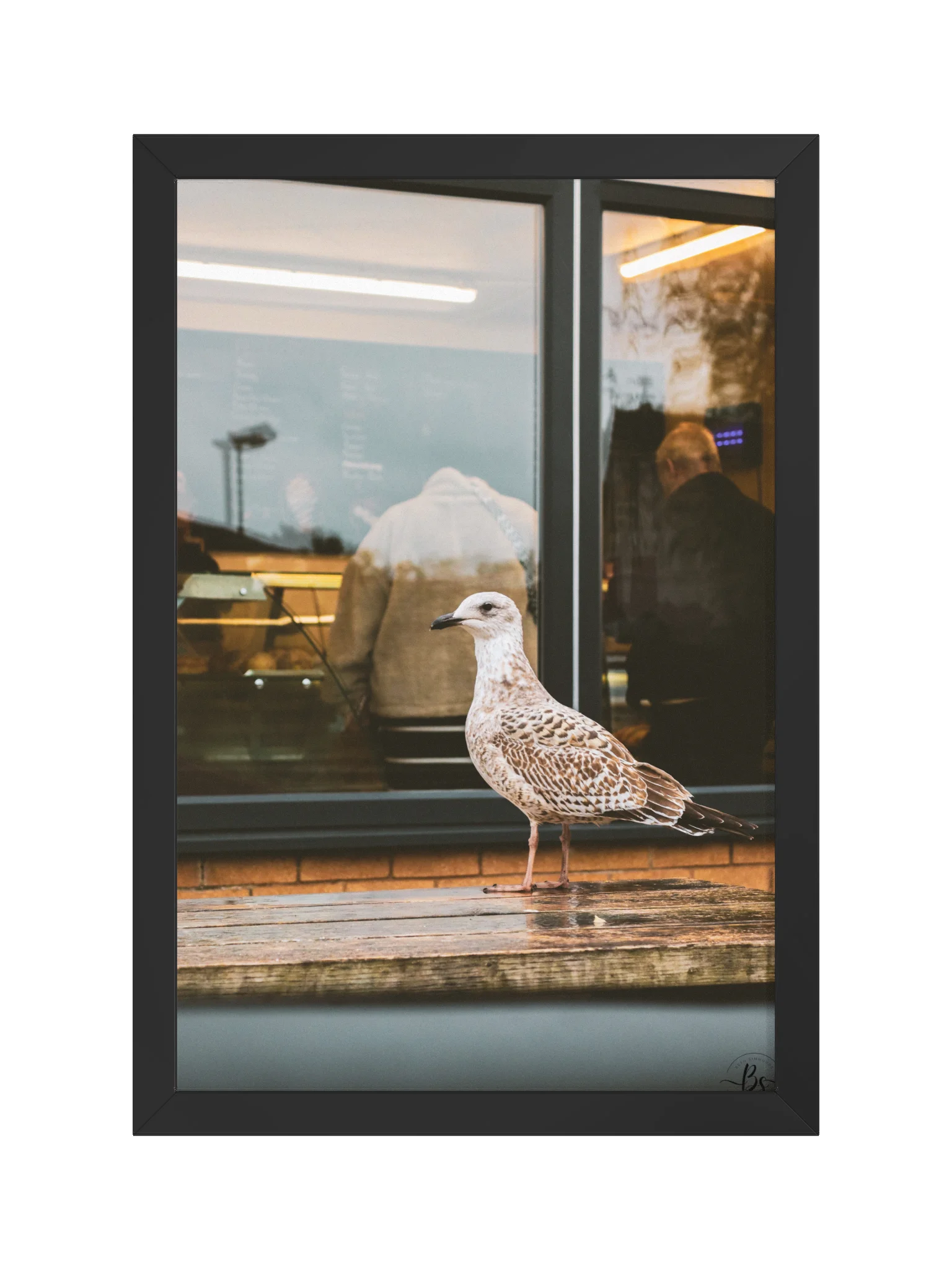 Silent Observer product image (1)
