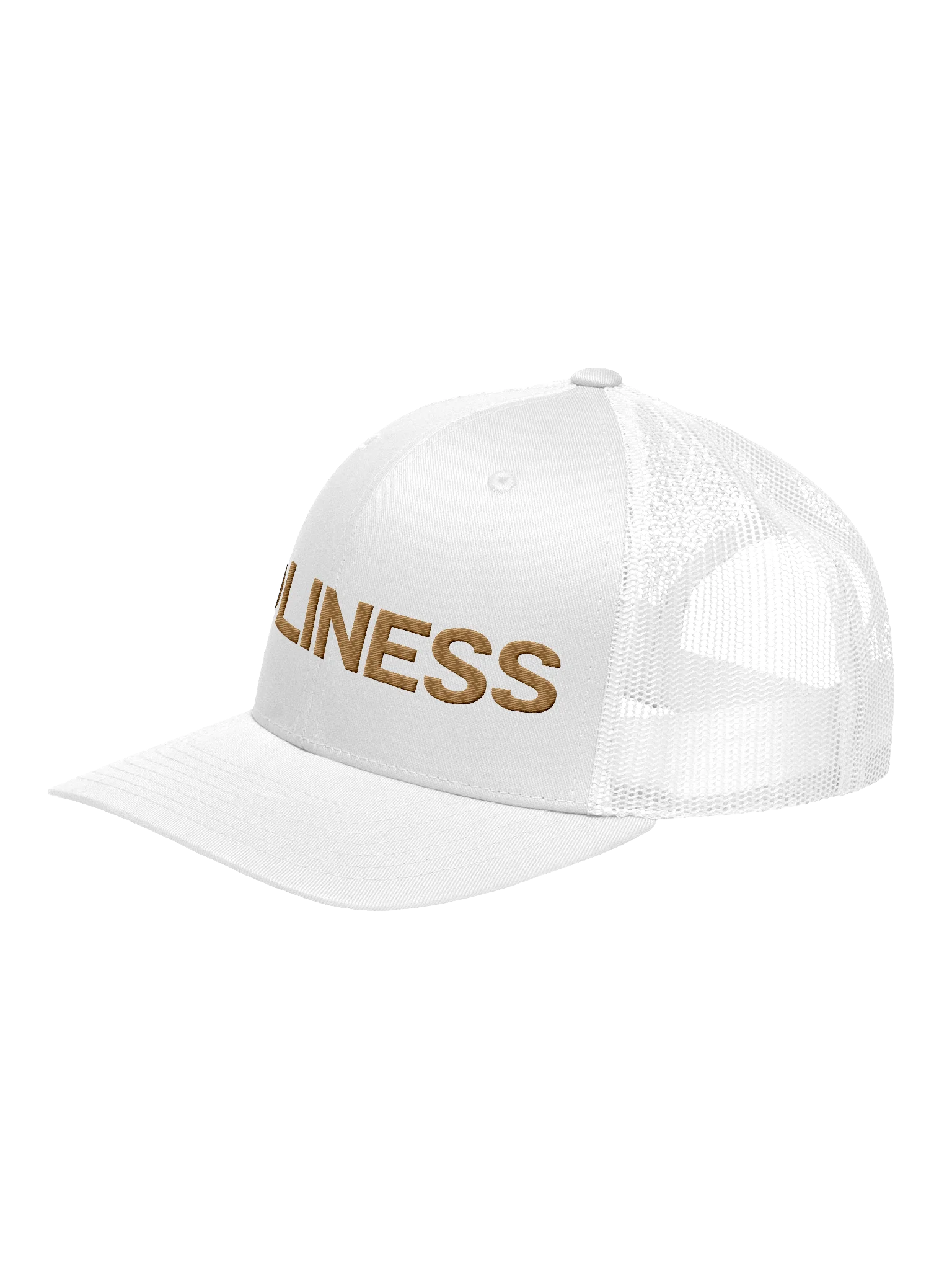 Holiness Hat product image (12)