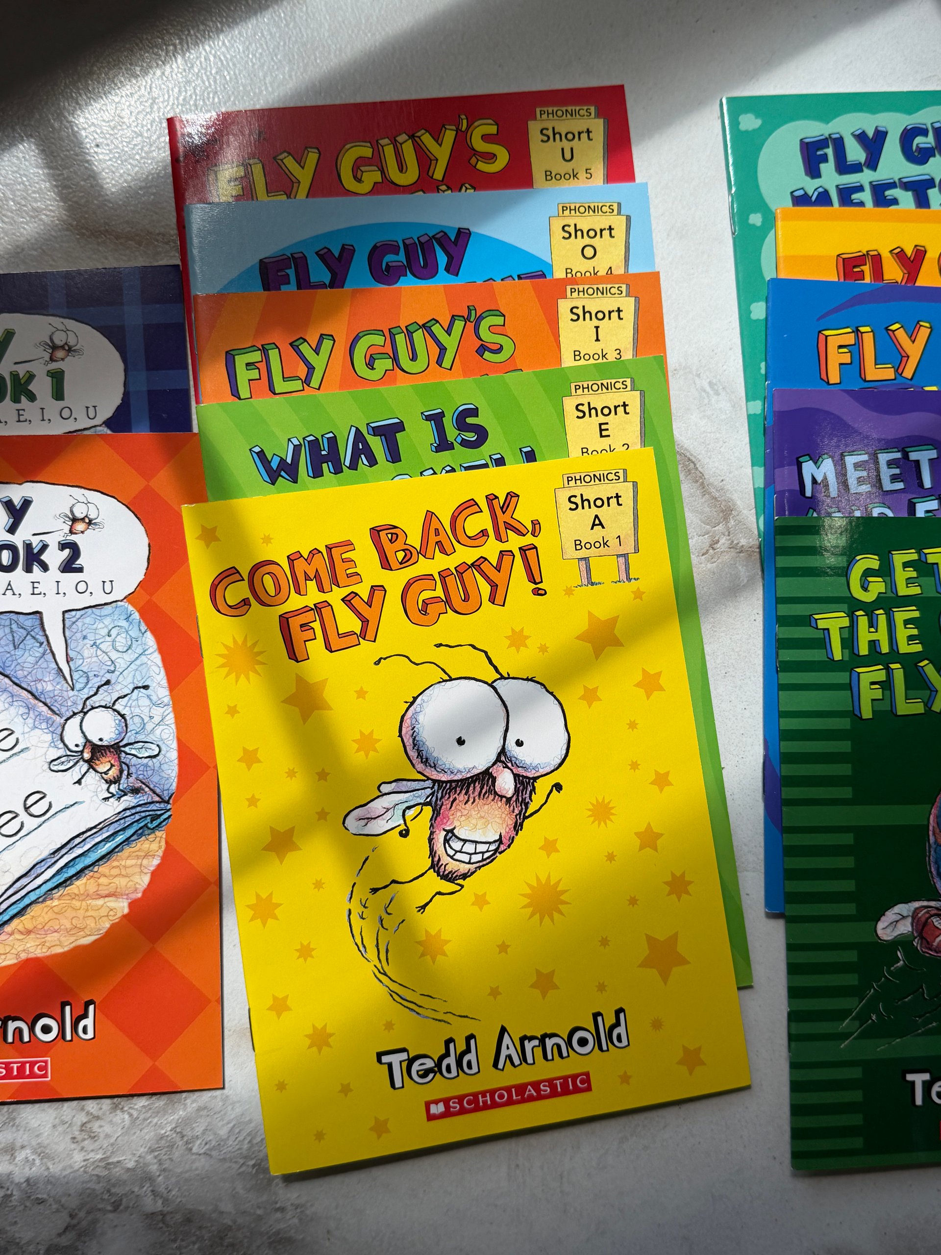 Fly Guy Phonics Boxed Set | Tedd Arnold | 10 Readers + 2 Unused Workbooks (K-2) product image (4)