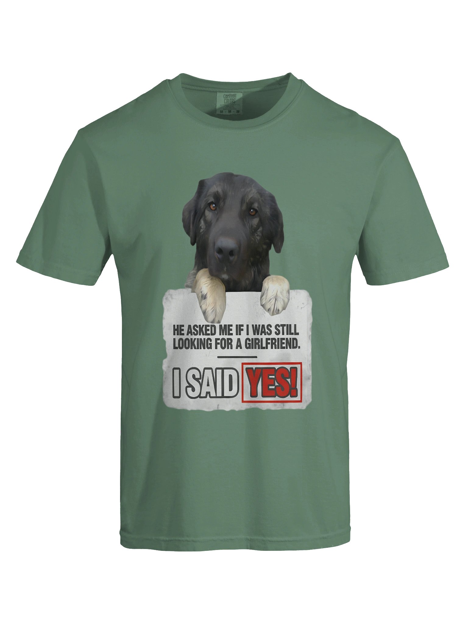 Funny Quote T-Shirt with Dog Design | Best Single Guy's Gift product image (8)