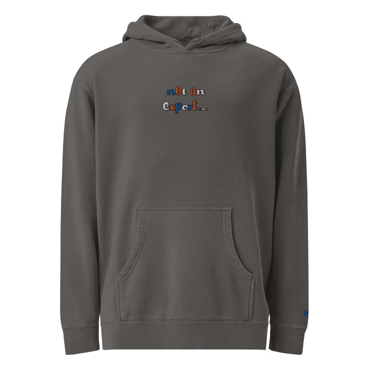 "not an expert..." Official Colour Hoodie product image (1)