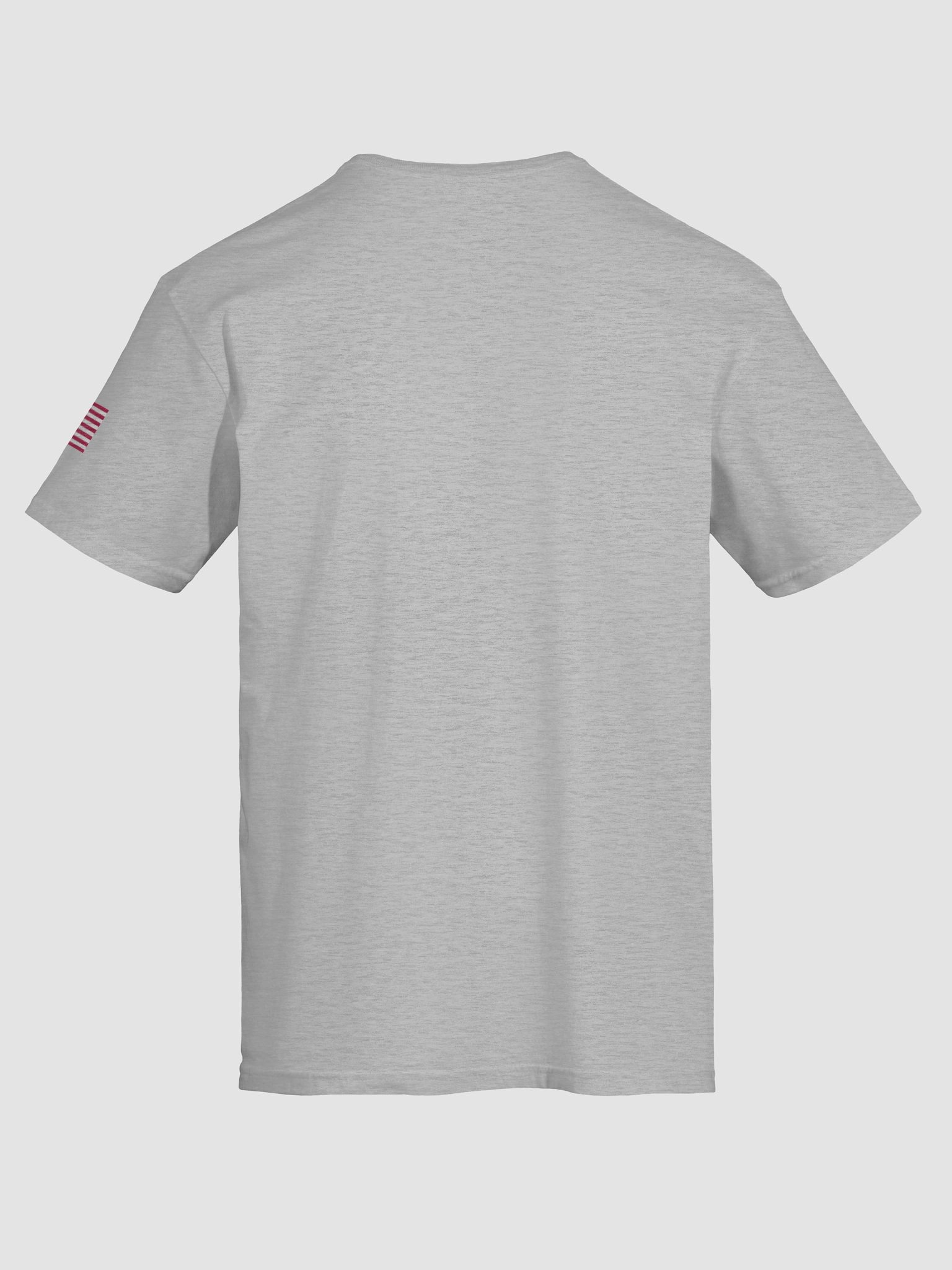 Authentic Apparel T-shirt product image (7)