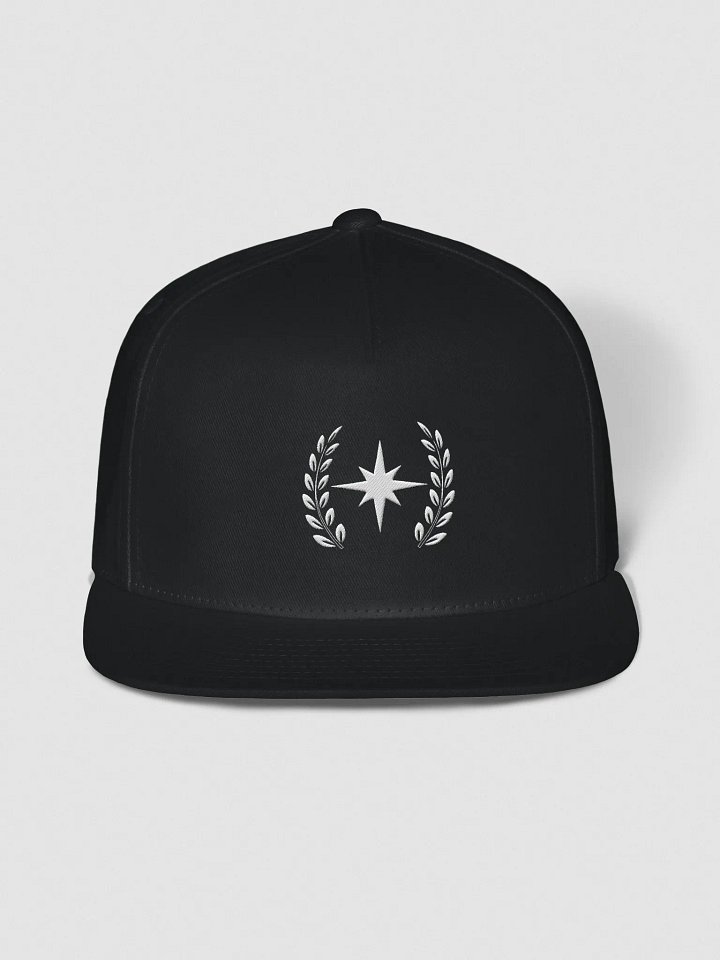 Flat Bill product image (1)