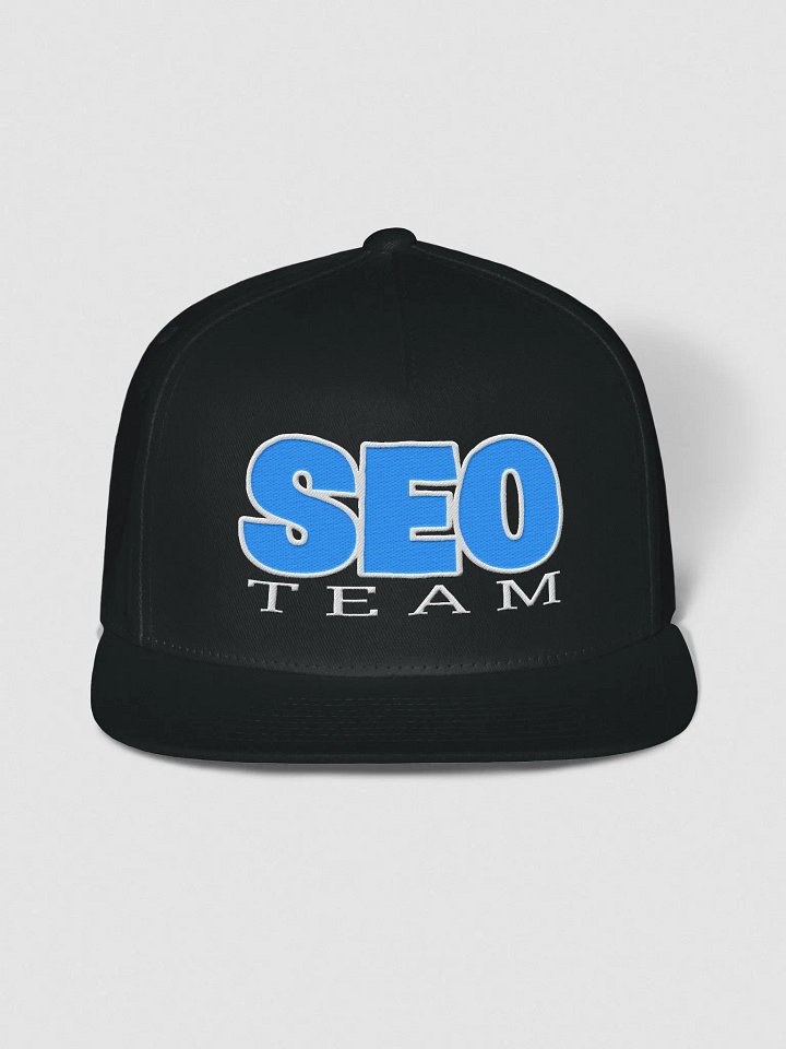 SEO Team Snapback product image (1)
