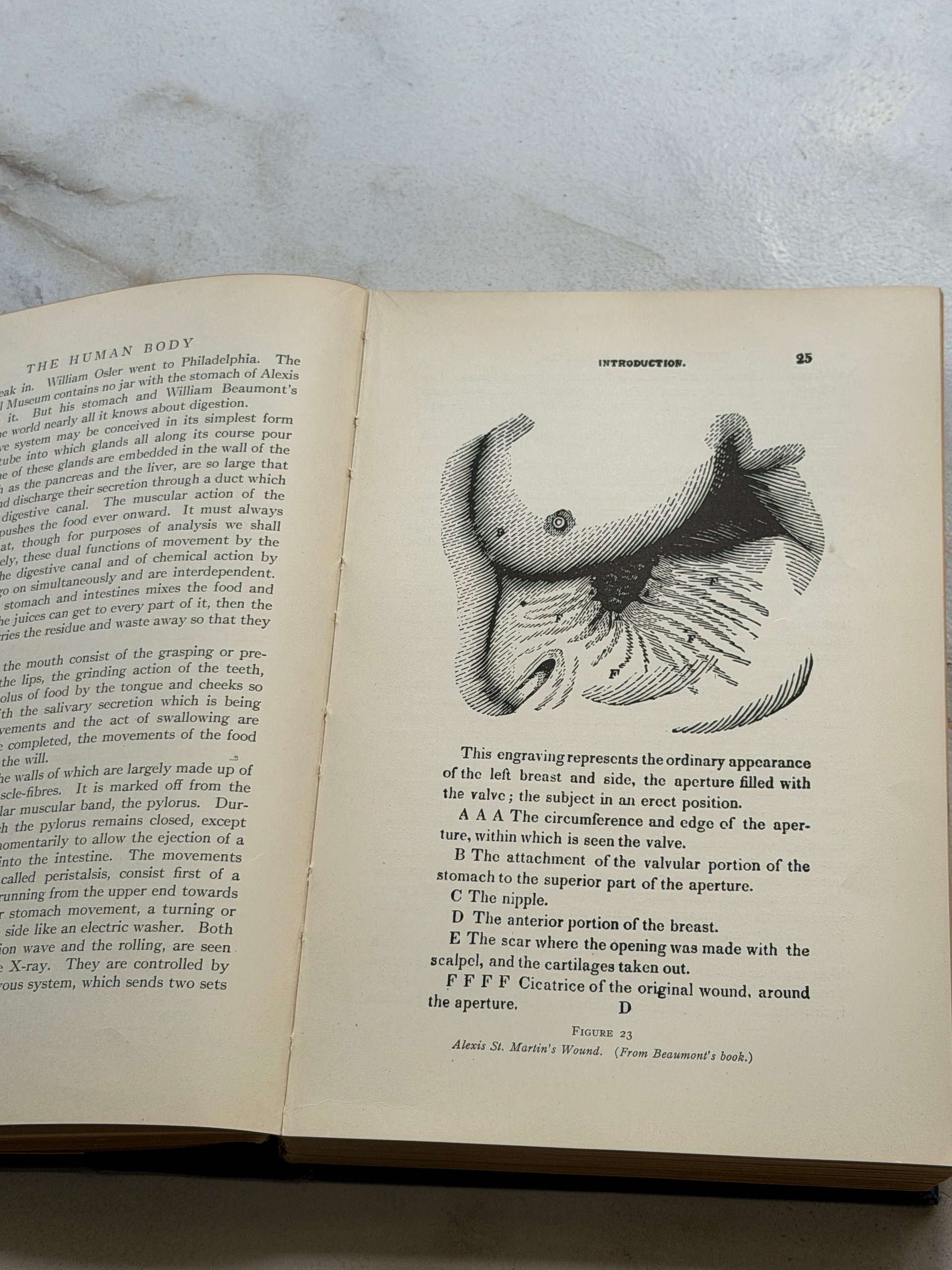 1927 | The Human Body | Logan Clendening, M.D. | Illustrated Antique Medical Hardcover product image (6)