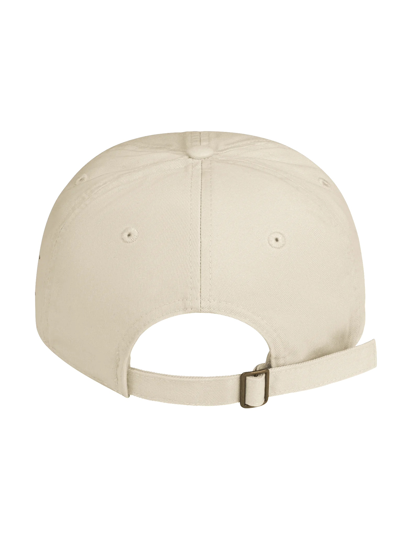 PRESERVE & PROTECT | Unisex | Organic Dad Hat product image (2)