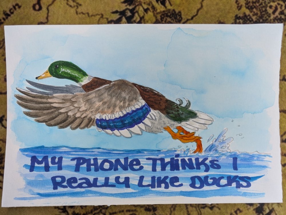 I Like Ducks product image (1)