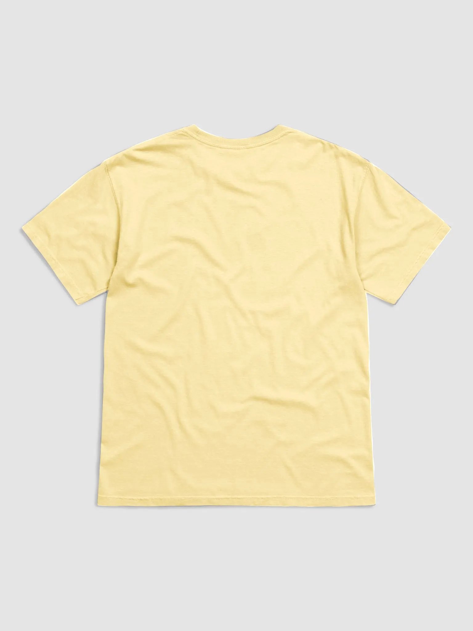 HOLY MOLY RAT T-SHIRT (bright heavyweight) product image (11)