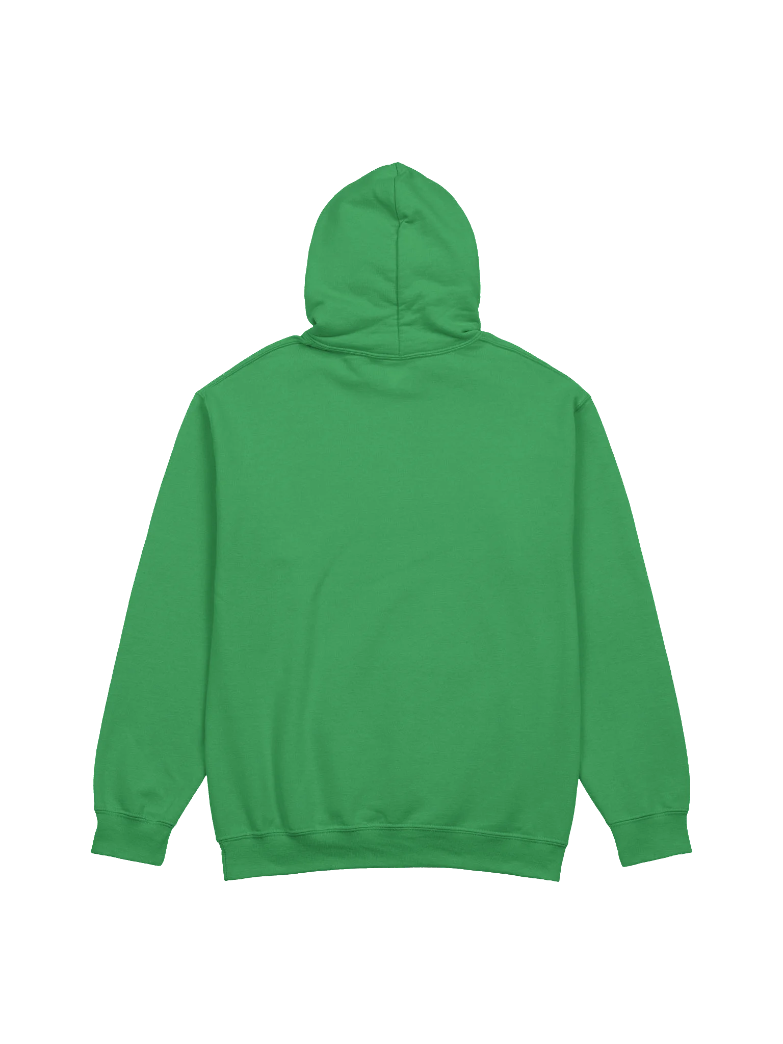 FWS Hoodie product image (2)