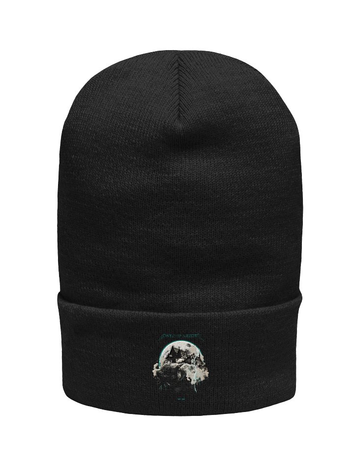 beenie hat product image (1)