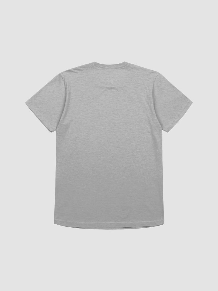 MORALS Gray T-shirt product image (2)