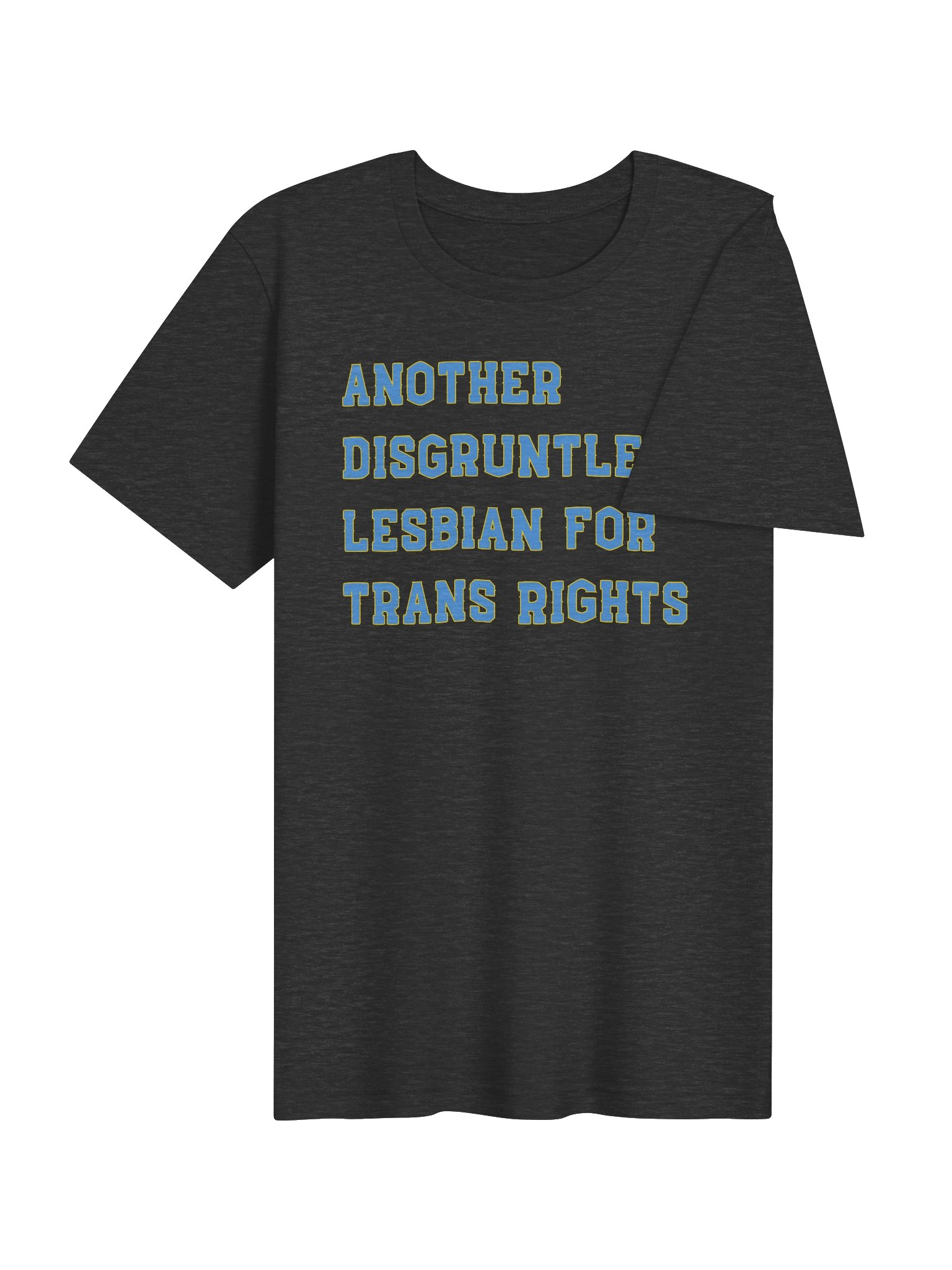 Disgruntled Chicago Lesbian product image (4)