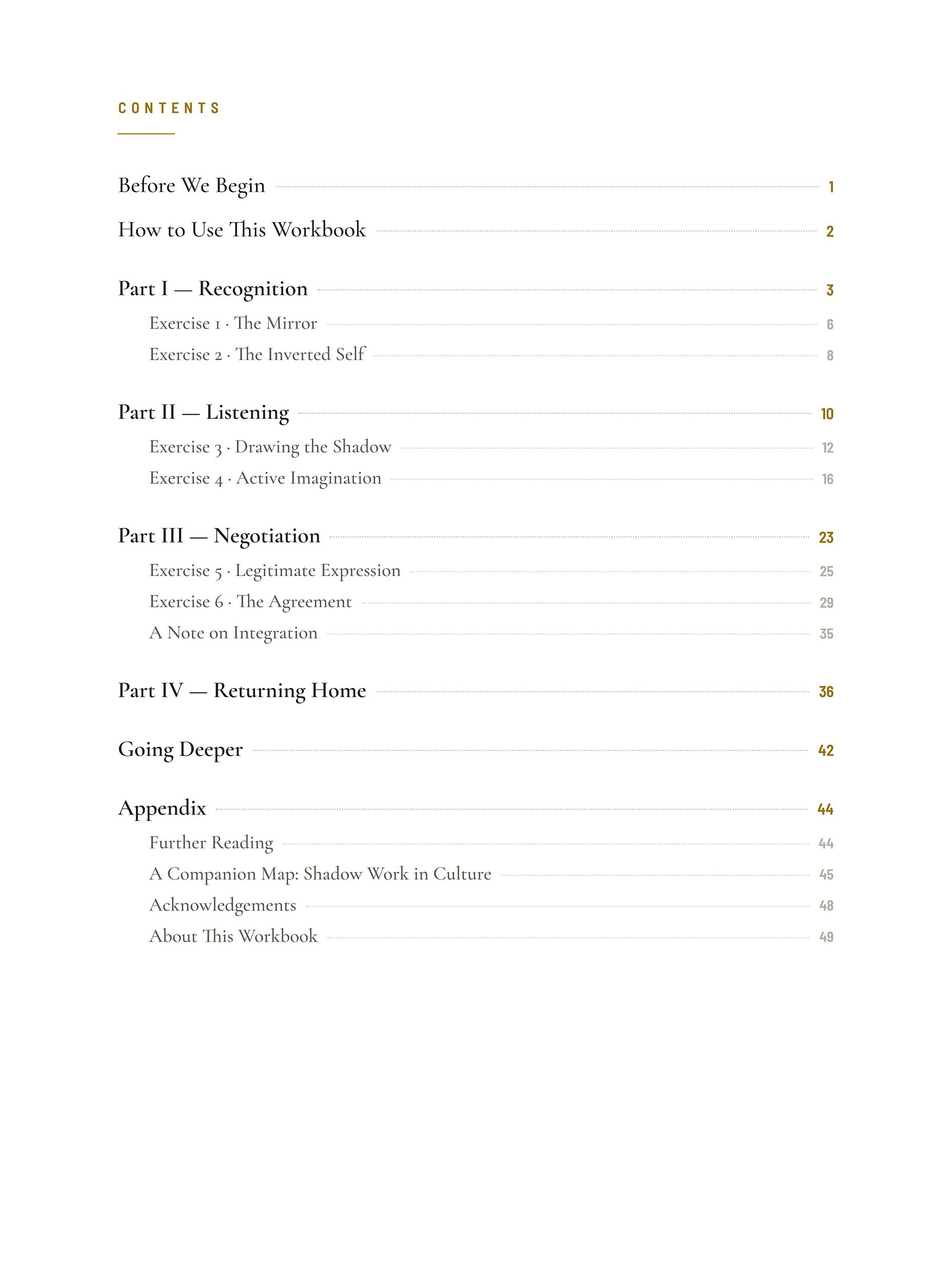 Shadow Workbook product image (4)