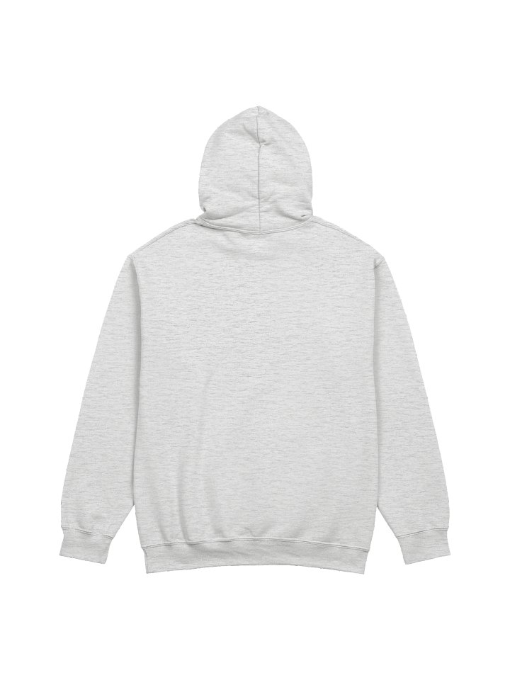 VIRTUEZ HOODIE product image (2)
