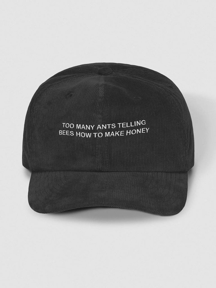 TOO MANY ANTS TELLING BEES HOW TO MAKE HONEY - Corduroy Hat product image (1)