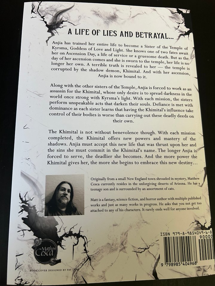 Misprinted Copy of The Shadow Sisters Paperback product image (2)