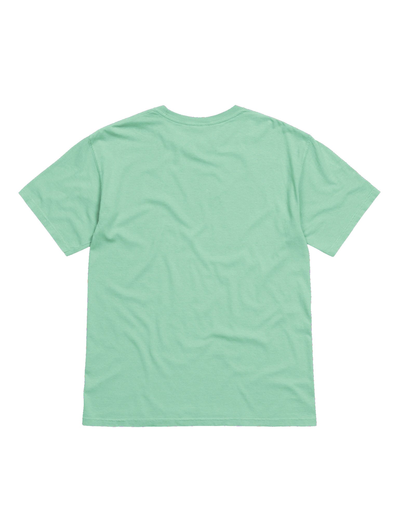 Autumn Embroidered Juno Shirt (Tsp) product image (3)
