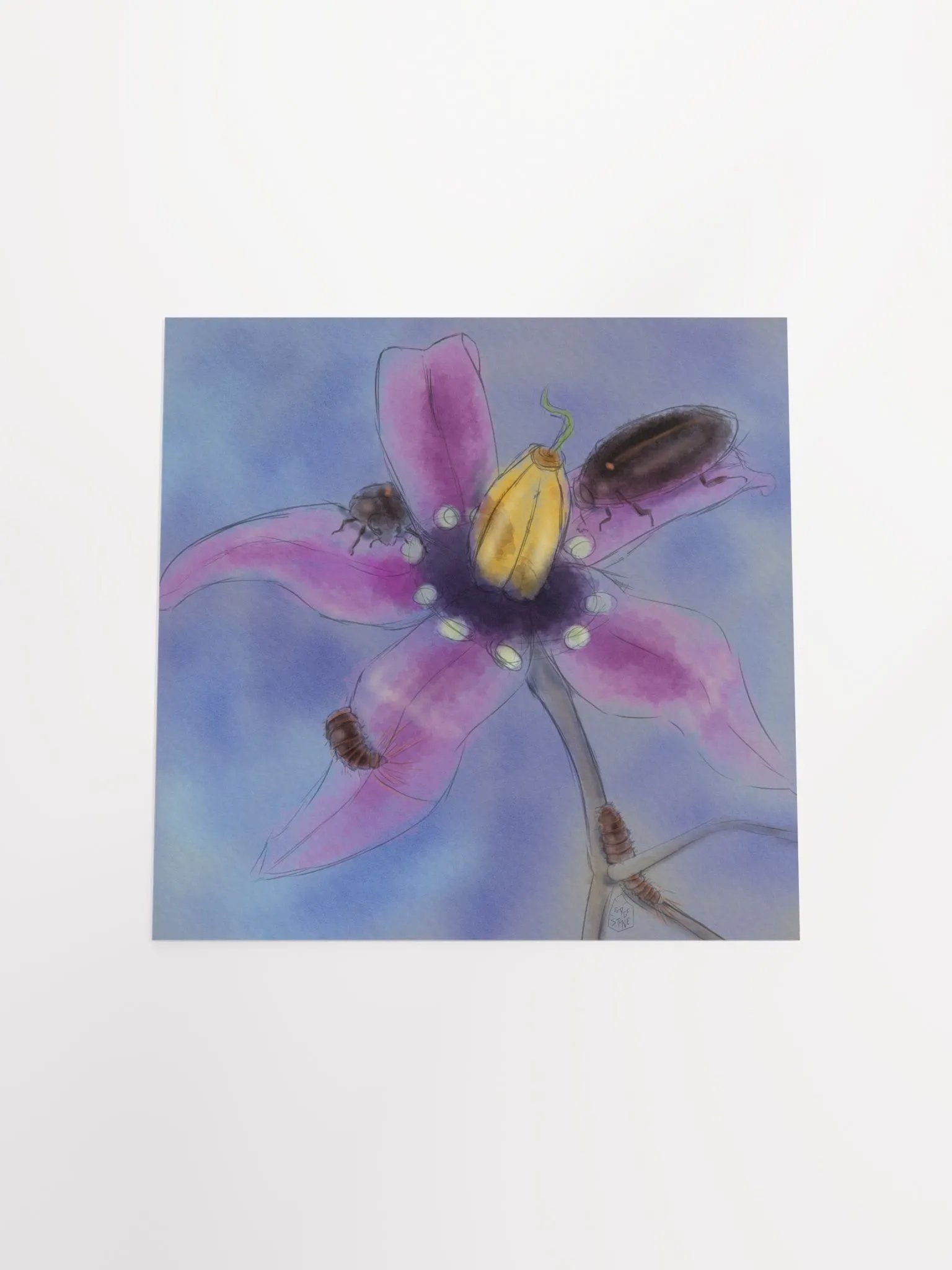 Synergy product image (5)