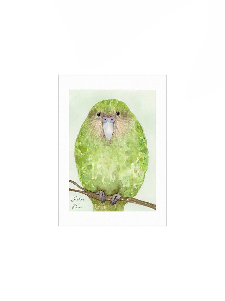 Kākāpō print product image (1)