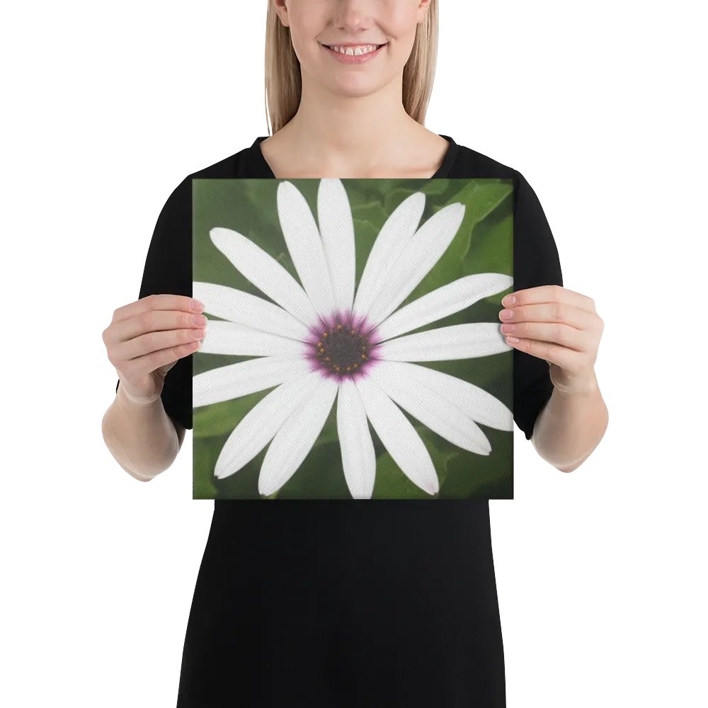 Daisy on Canvas product image (2)
