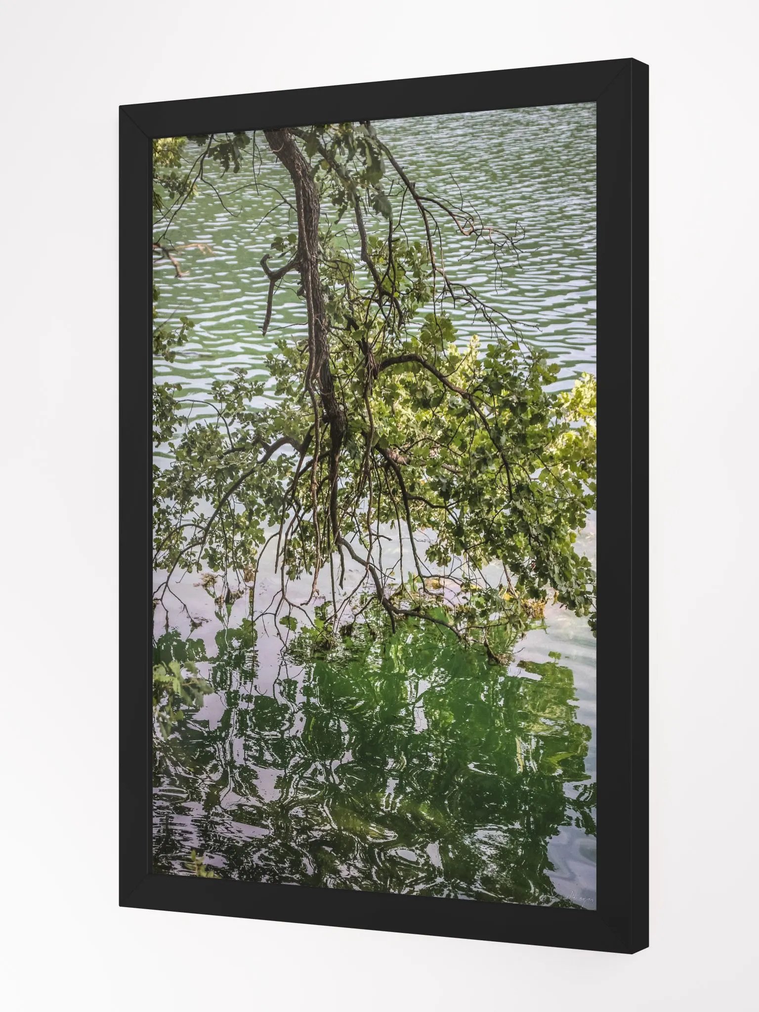 Print Fine Art - Reflections of Serenity - Lac de Carcès, France product image (3)