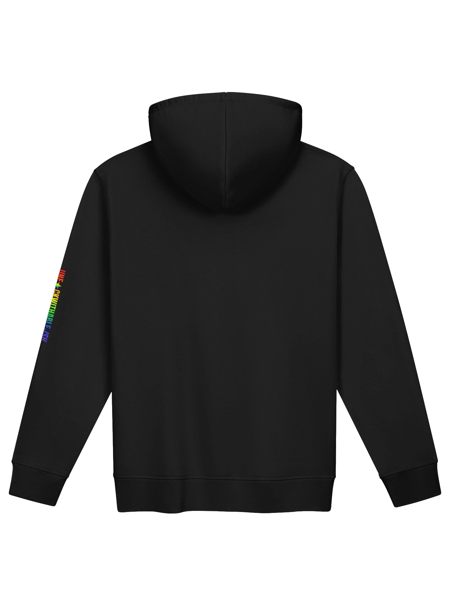 UNF★CKWITHABLE-ISH™ Women's Relaxed Fit Pride Organic Cotton Hoodie product image (12)