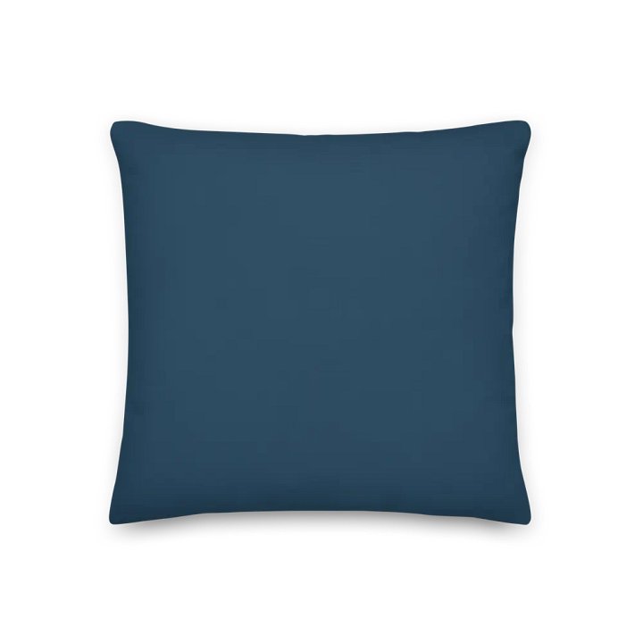Once Upon a Time, Laundry Did Not Rule My Life – Funny Mom Throw Pillow, Parenting Humor, Home Decor product image (3)