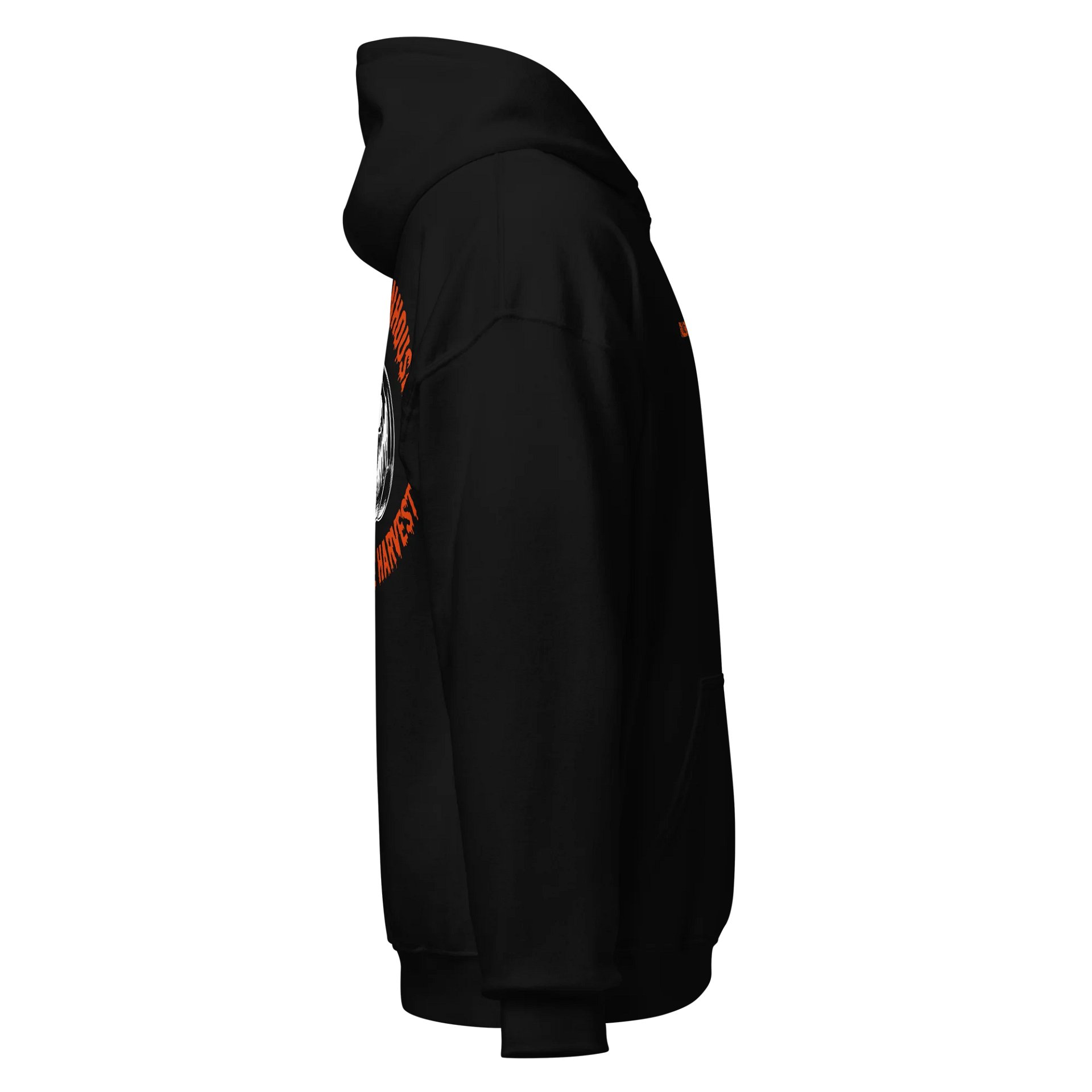 Funhouse Hoodie product image (4)