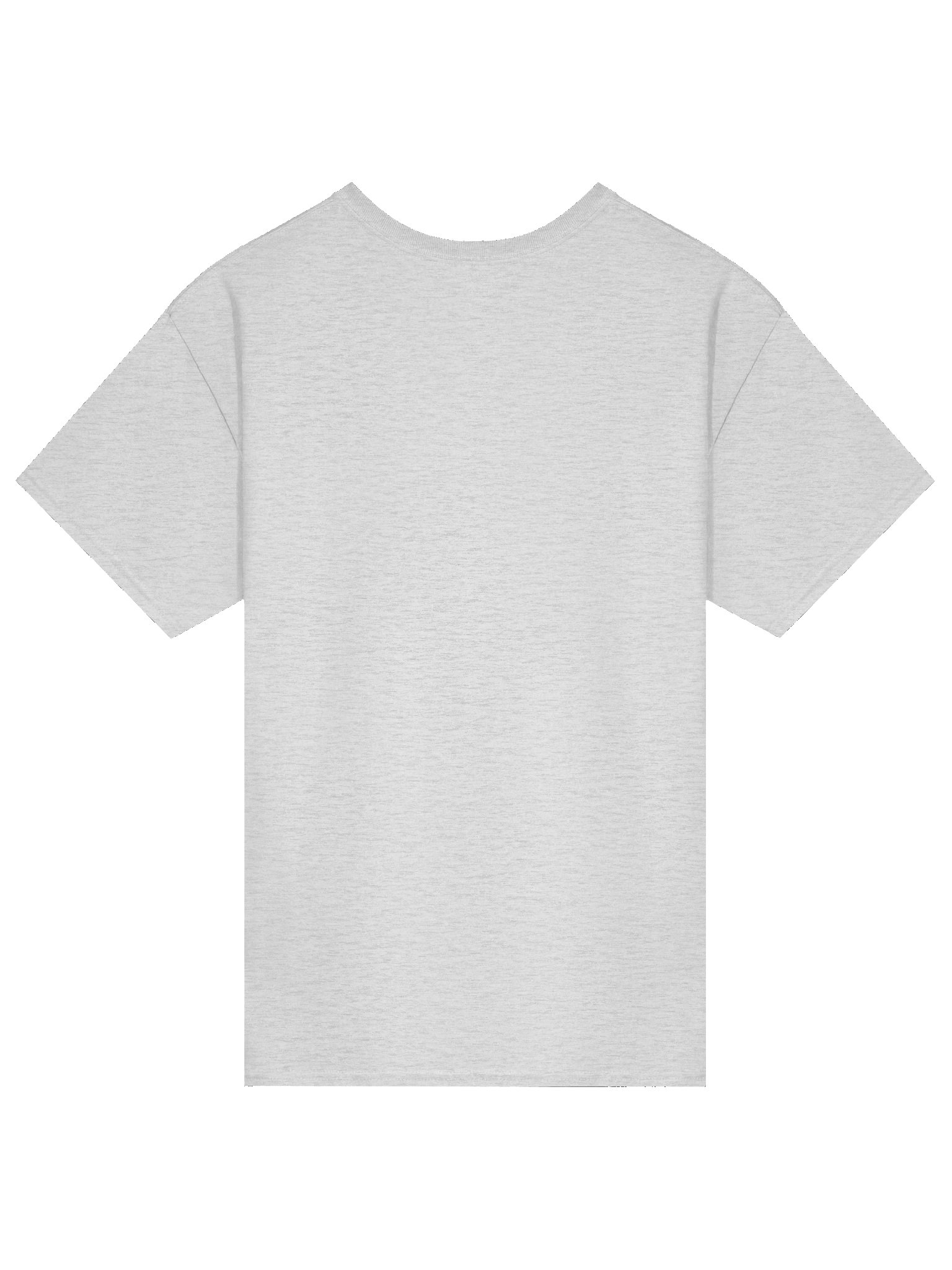 Insufferable & Salty - T Shirt product image (26)